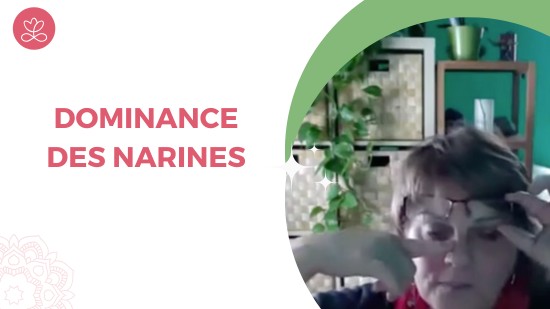 3.7 Dominance des narines (4 minutes)